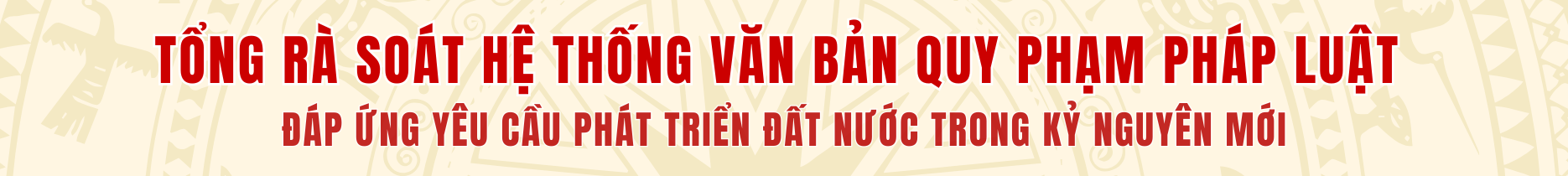 Tổng rà soát văn bản
